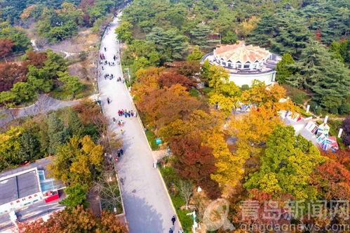 中山公园最新爆料,揭秘公园历史变迁与未来规划 第2张 中山公园最新爆料,揭秘公园历史变迁与未来规划 第2张